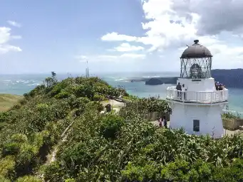 Lighthouse on headland with flax and bush